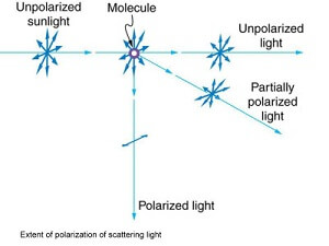 extent-of-polarization-of-scattering-light